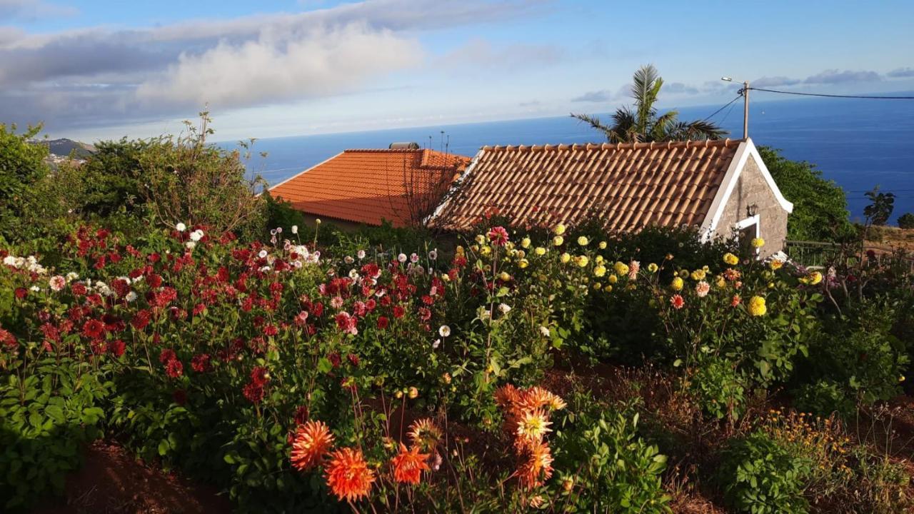 Palheiro Cavalinho Villa Prazeres Exterior photo